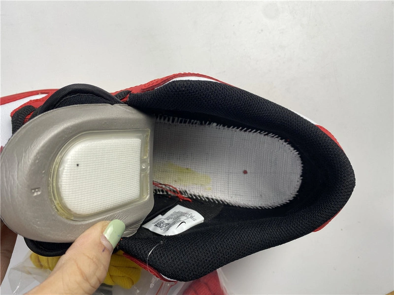 Nike SB Dunk Low Vietnam 309242-307