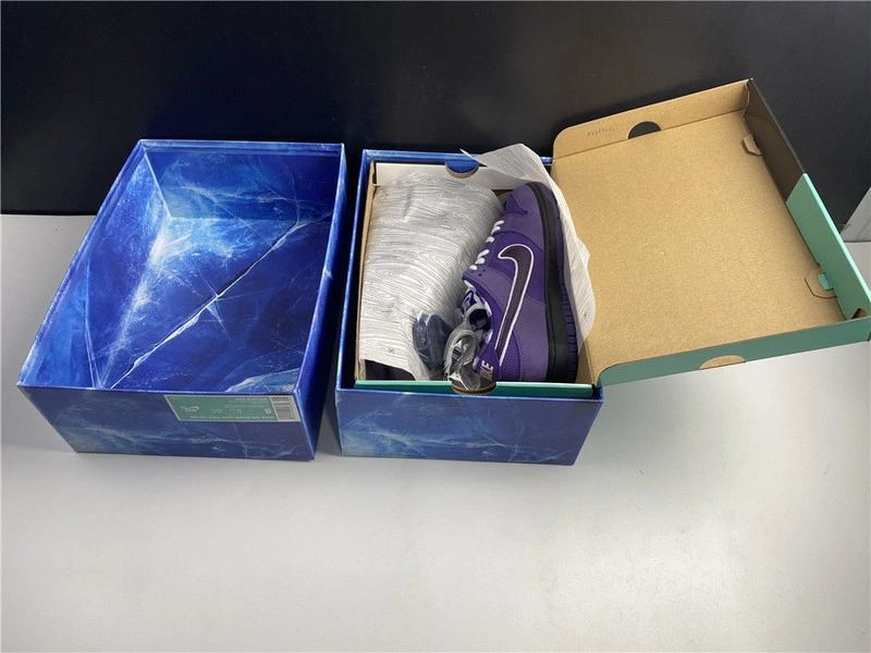 Nike SB Dunk Low x Concepts  BV1310-555
