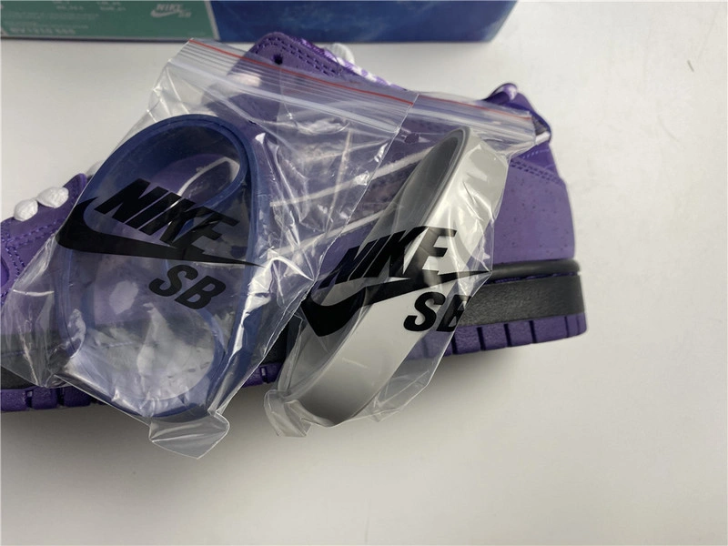 Nike SB Dunk Low x Concepts  BV1310-555