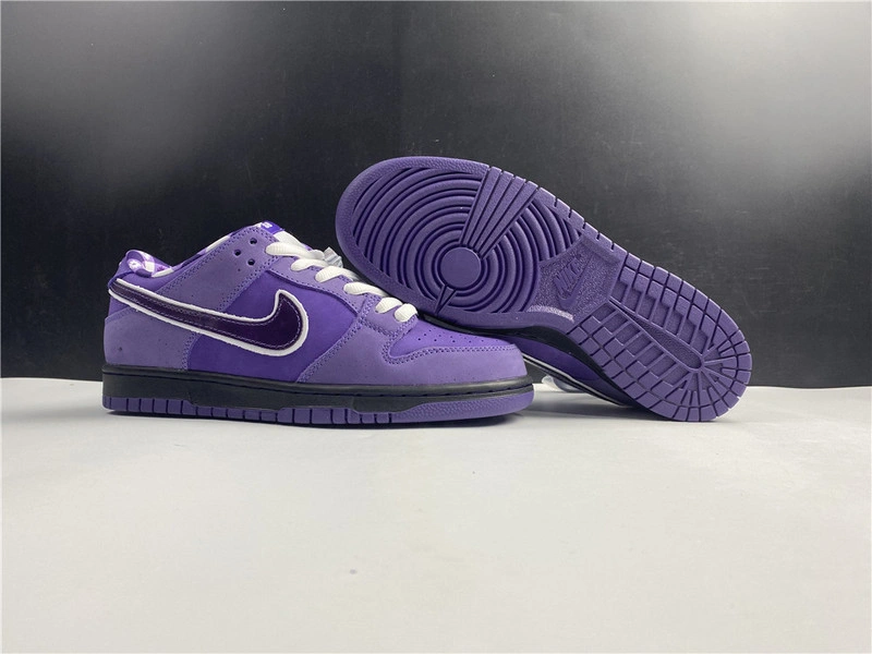 Nike SB Dunk Low x Concepts  BV1310-555