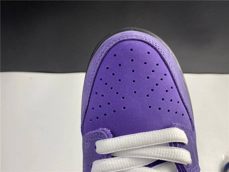 Nike SB Dunk Low x Concepts  BV1310-555