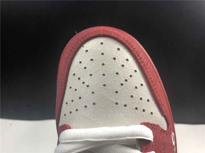 Nike dunk sb low Roller Derby  313170-601