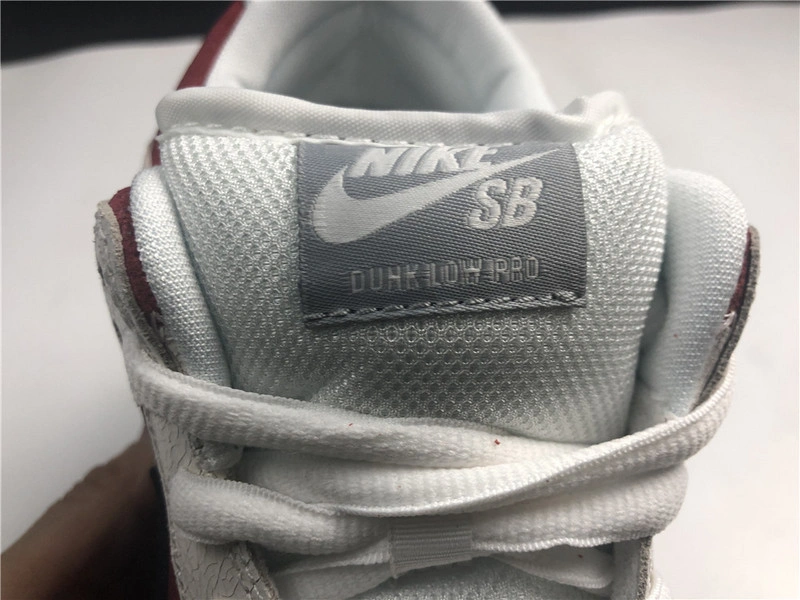 Nike dunk sb low Roller Derby  313170-601