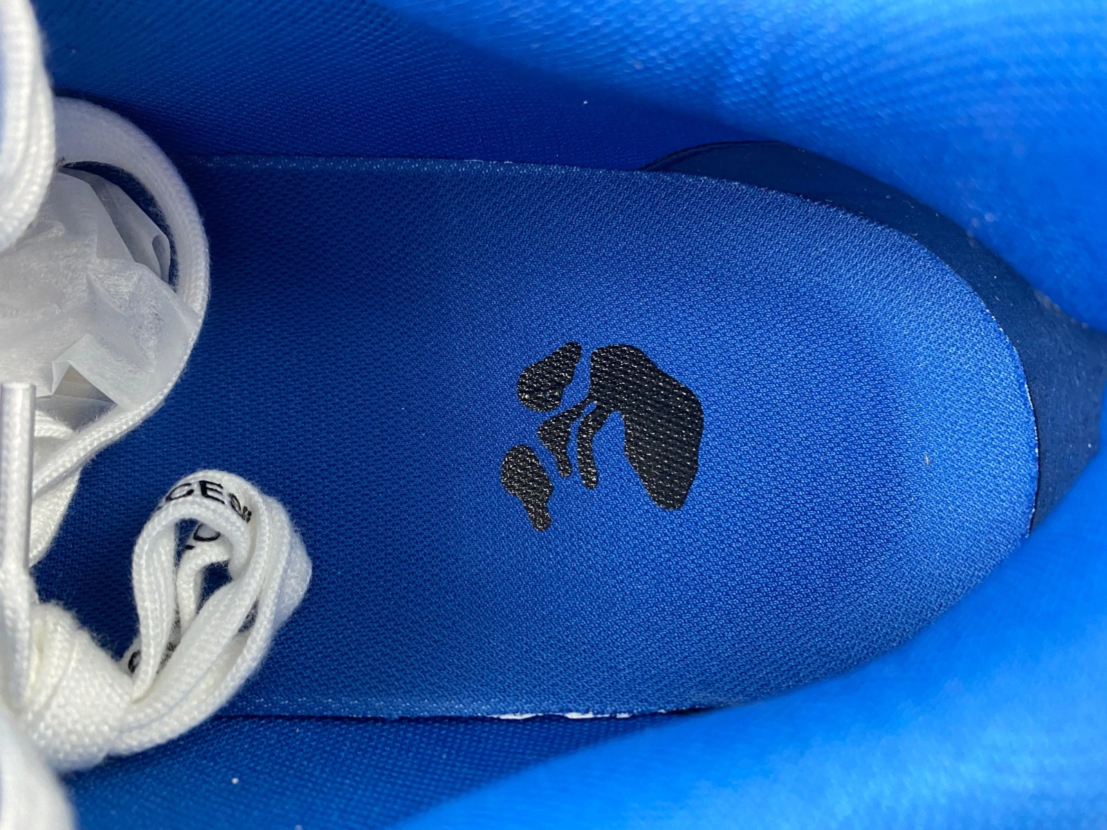 OWT OUT OF OFFICE SNEAKERS