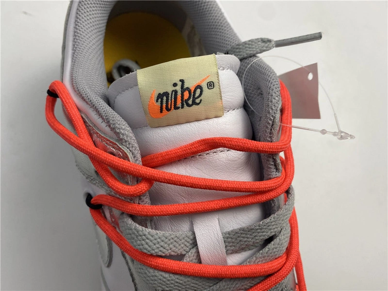 OWT x Nike Dunk Low  CT0856- 801