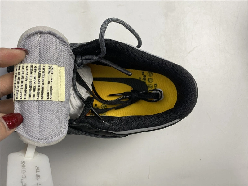 OWT x Nike Dunk Low  CT0856 007