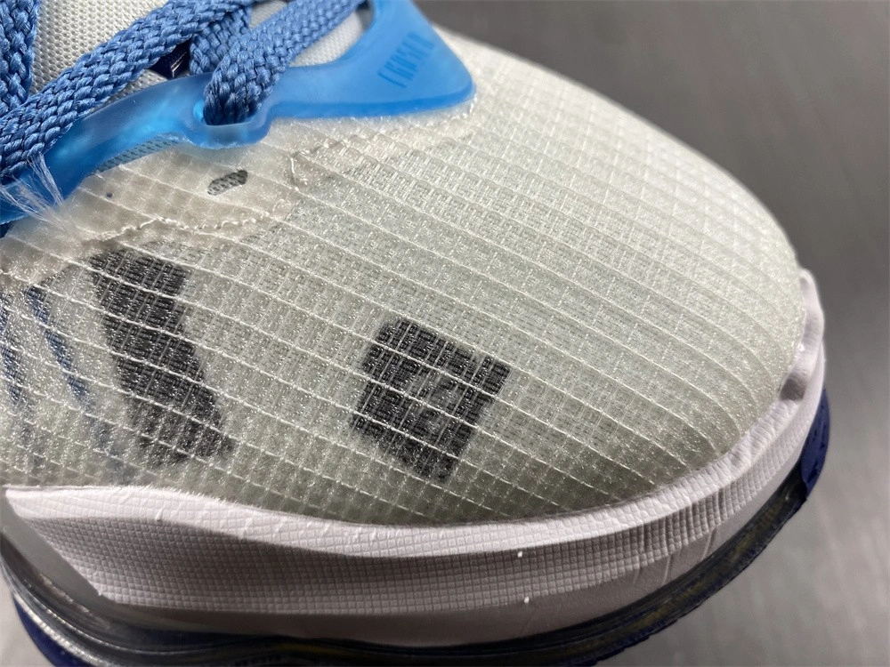 Space Jam X LeBron 19 EP 'Sweatsuit' - Nike - DC9342 100