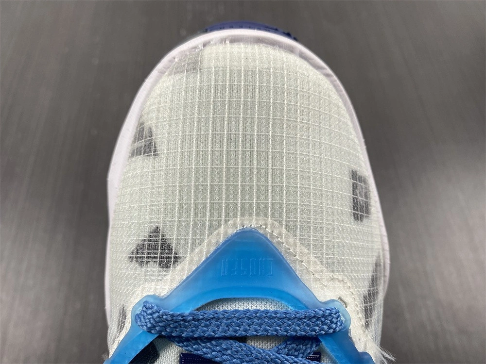Space Jam X LeBron 19 EP 'Sweatsuit' - Nike - DC9342 100