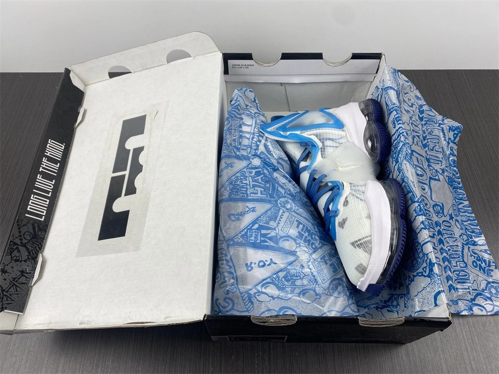 Space Jam X LeBron 19 EP 'Sweatsuit' - Nike - DC9342 100