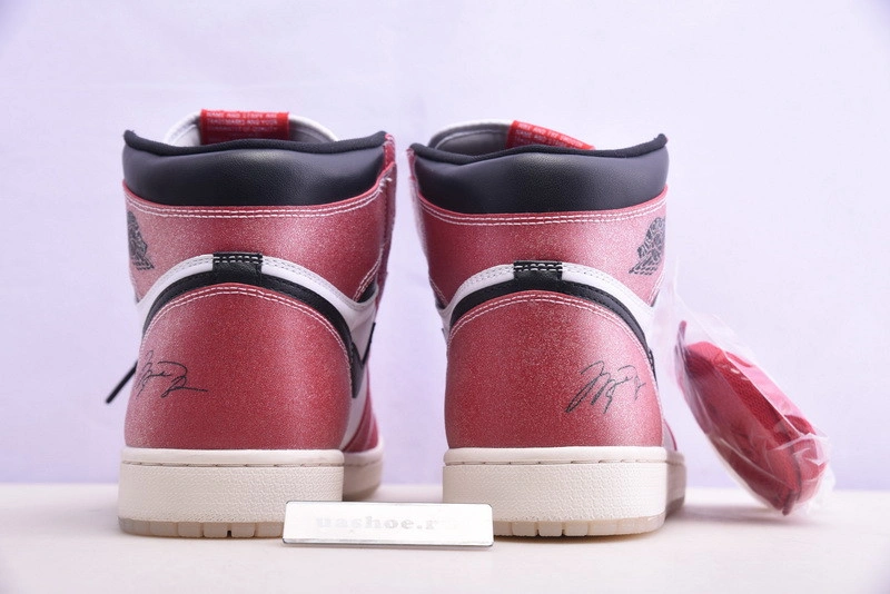 Trophy Room x Air Jordan 1 High OG  DA2728-100