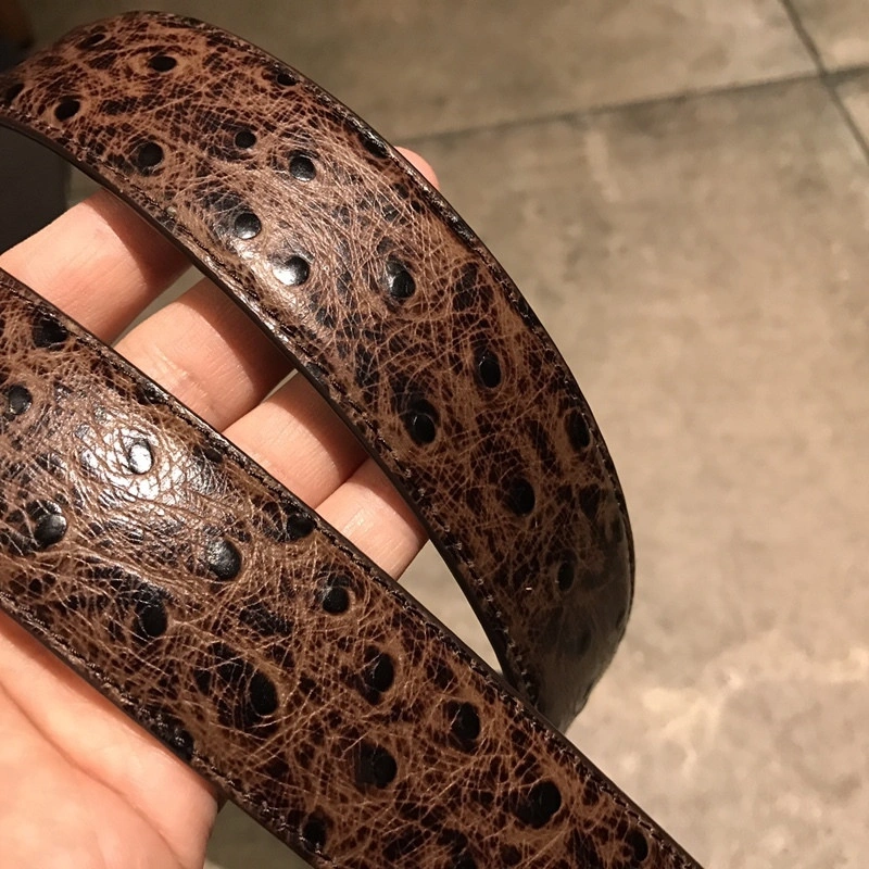 VESACE  Belt
