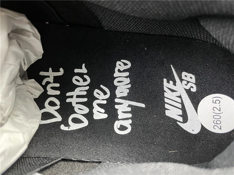 Wasted Youth × Nike Dunk SB Low “Black”  DD8386-001