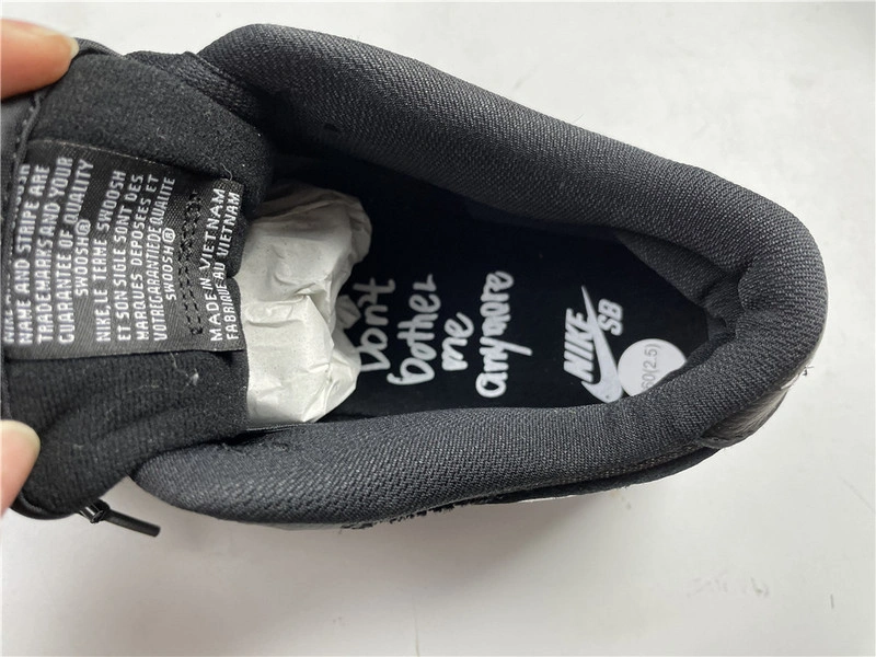Wasted Youth × Nike Dunk SB Low “Black”  DD8386-001