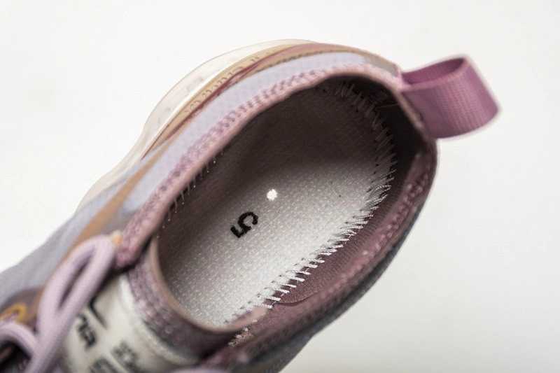 Wmns Air VaporMax 2019 Plum Chalk AR6632-500
