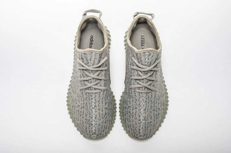 adidas  Boost 350 Moonrock AQ2660