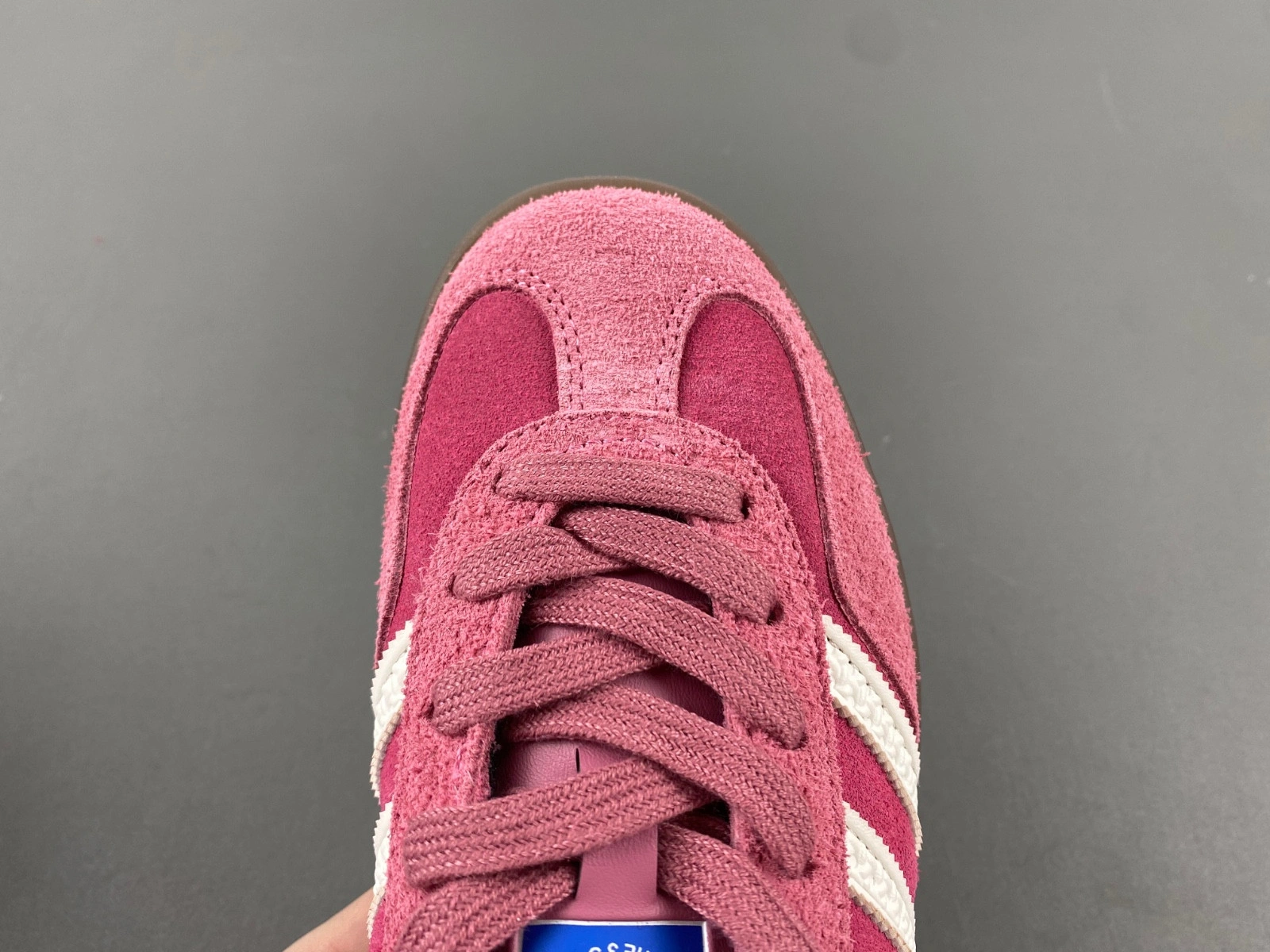 adidas Gazelle Indoor Pink Cloud White Men's - IF1809
