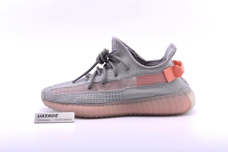 adidas Yeezy Boost 350 V2 True Form EG7492