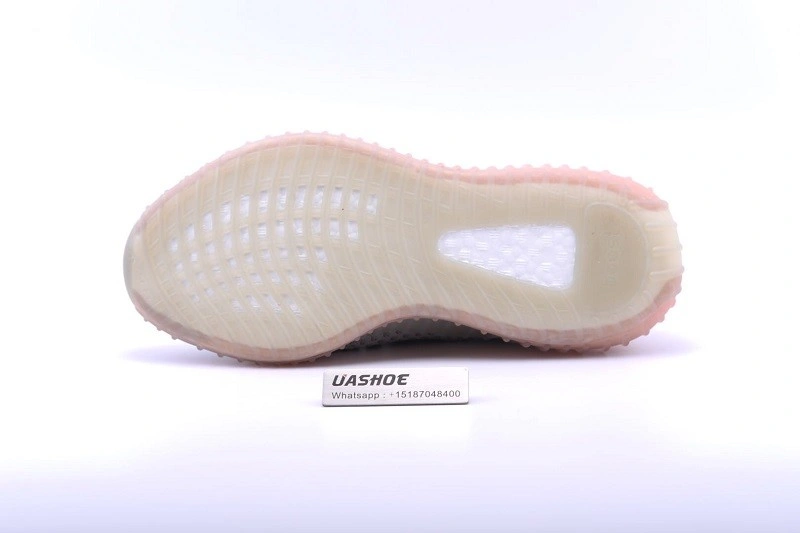 adidas Yeezy Boost 350 V2 True Form EG7492