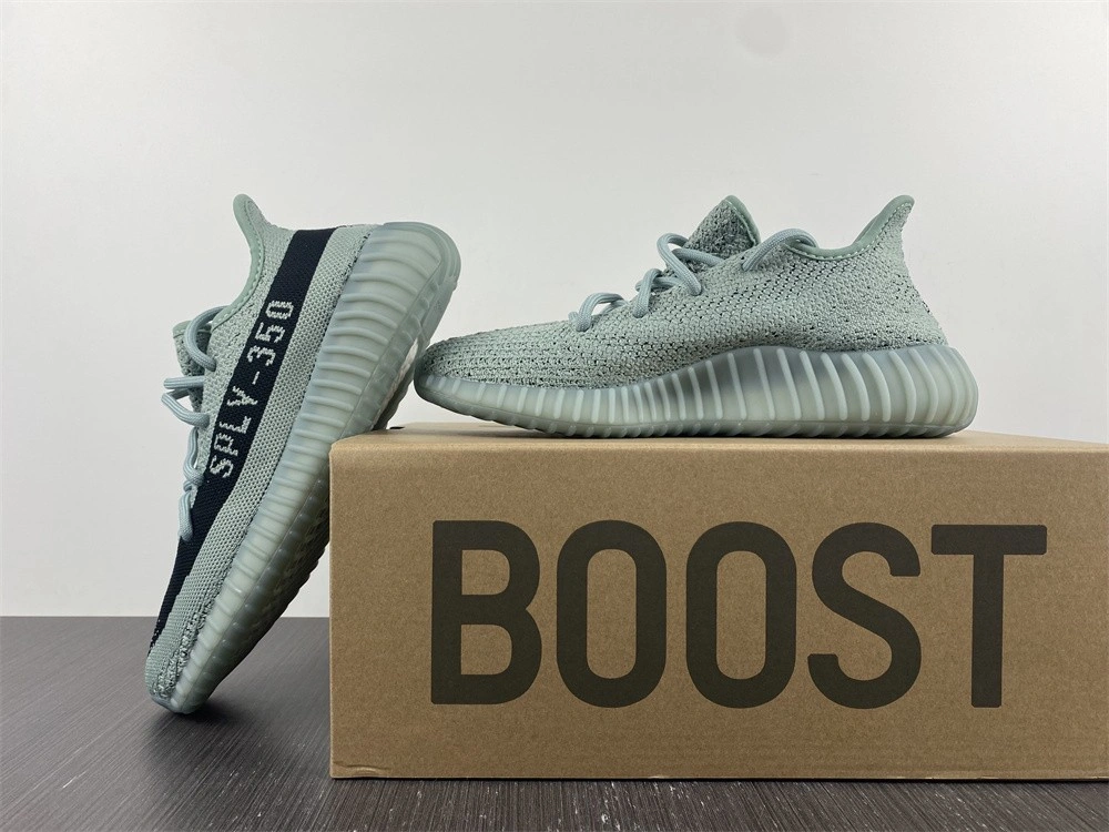 adidas Yeezy Boost 350 v2 