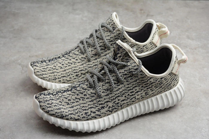 ADIDAS YEEZY 350 BOOST “TURTLE DOVE” AQ4832