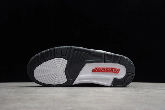 AIR Jordan 3 Retro Cool Grey (2021) CT8532-012