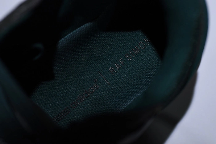 Adidas  Raf Simons Ozweego II Brown Blue  AQ2640