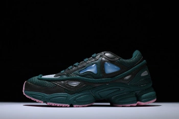 Adidas  Raf Simons Ozweego II Brown Blue  AQ2640