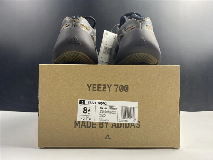 Adidas Yeezy 700 V3 GY0189