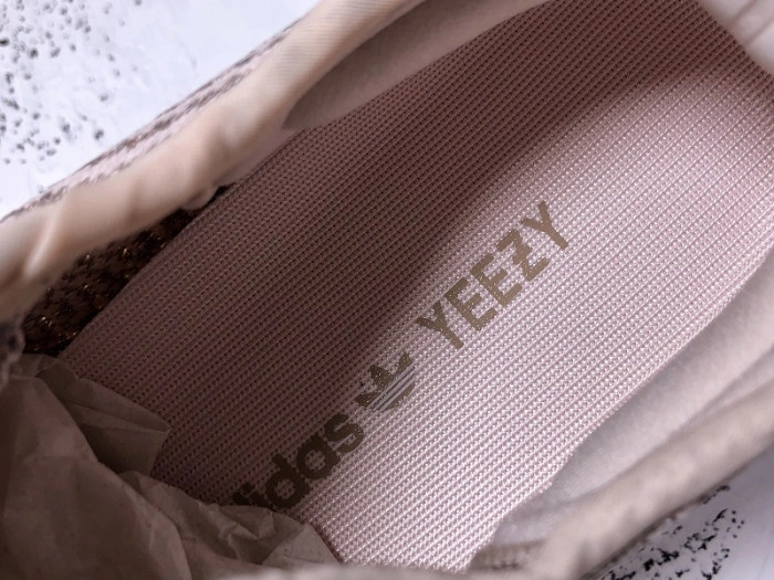 Adidas Yeezy Boost 350 V2 Synth (Reflective)  FV5666