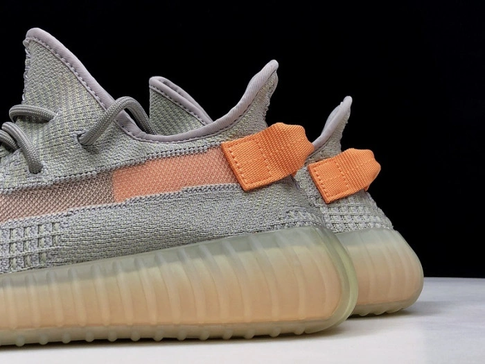 Adidas Yeezy Boost 350 V2 "TRUE FORM"  EG7492