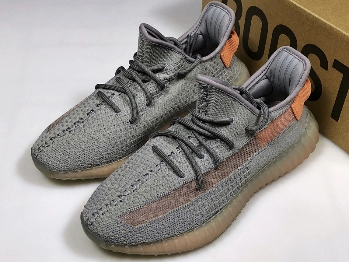 Adidas Yeezy Boost 350 V2 "TRUE FORM"  EG7492