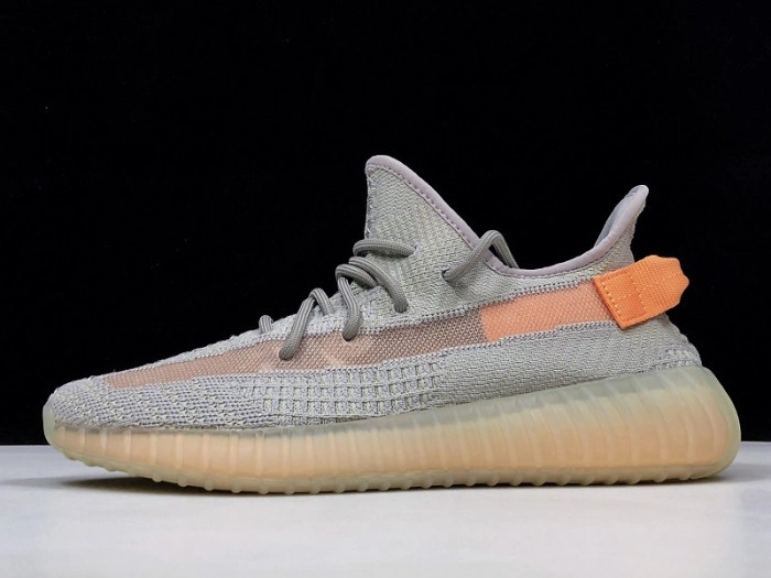 Adidas Yeezy Boost 350 V2 "TRUE FORM"  EG7492