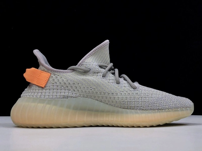 Adidas Yeezy Boost 350 V2 "TRUE FORM"  EG7492