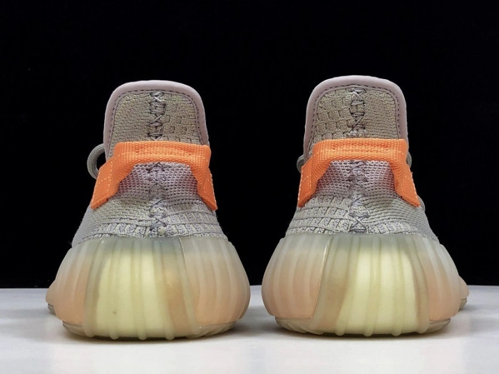 Adidas Yeezy Boost 350 V2 "TRUE FORM"  EG7492