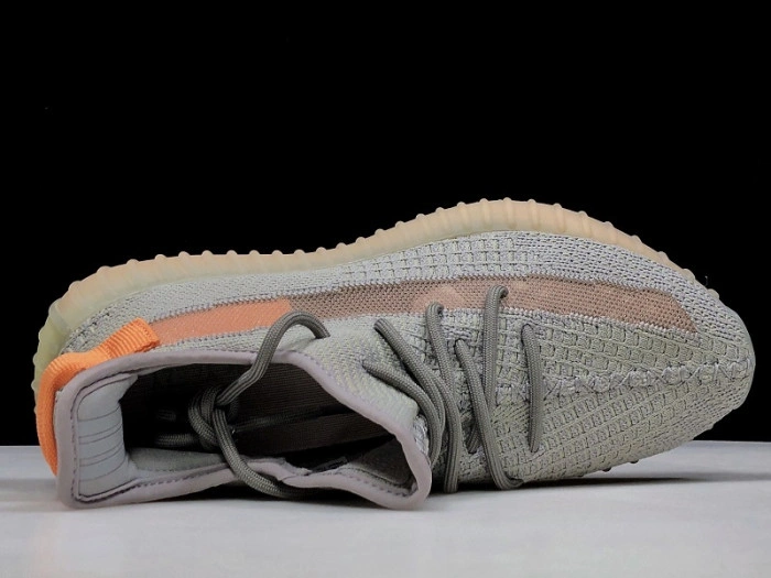 Adidas Yeezy Boost 350 V2 "TRUE FORM"  EG7492