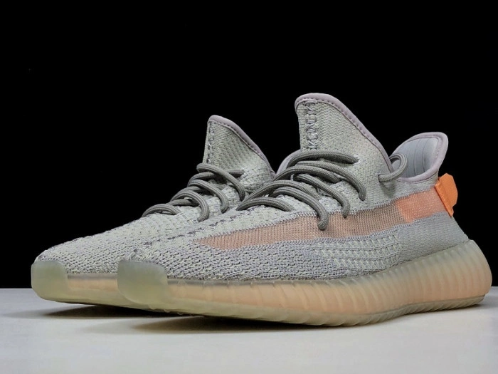 Adidas Yeezy Boost 350 V2 "TRUE FORM"  EG7492