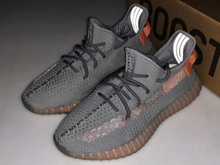 Adidas Yeezy Boost 350 V2 "TRUE FORM"  EG7492