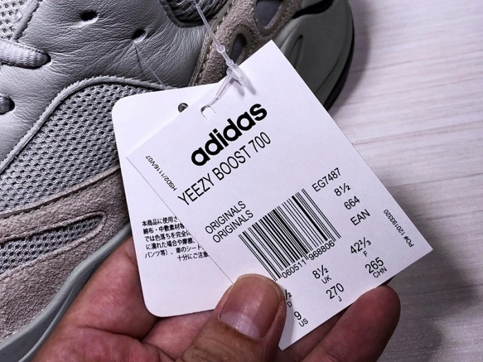 Adidas Yeezy Boost 700 Salt  EG7487