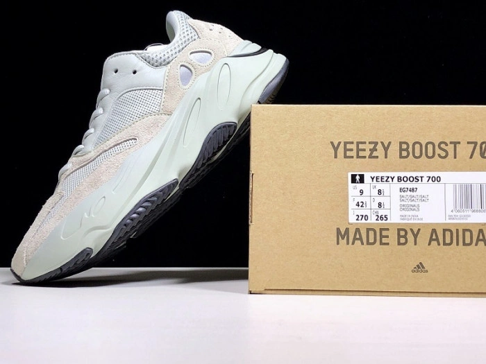 Adidas Yeezy Boost 700 Salt  EG7487