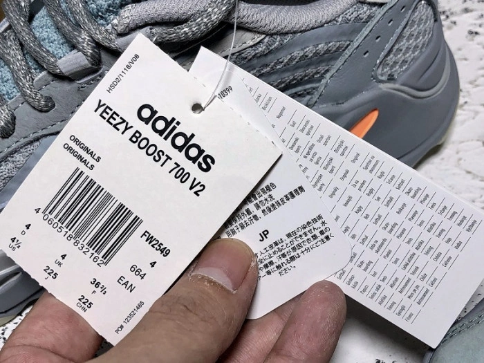 Adidas Yeezy Boost 700 V2 Inertia  FW2549