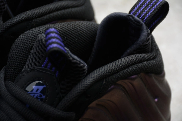 Air Foamposite One Eggplant (2017)  314996-008