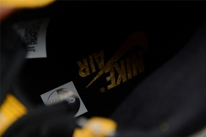 Air Jordan 1 Pollen 555088-701