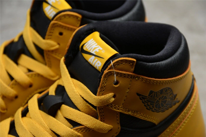 Air Jordan 1 Pollen 555088-701