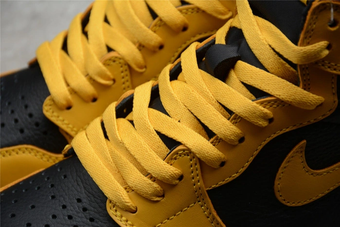 Air Jordan 1 Pollen 555088-701