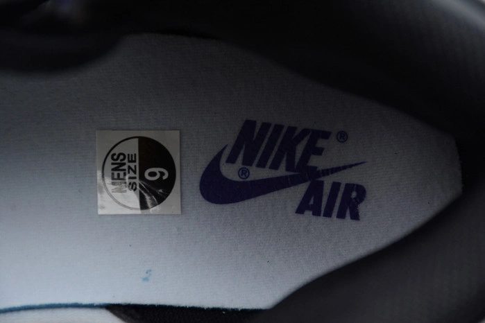 Air Jordan 1 Retro High OG 'Court Purple' 555088-501