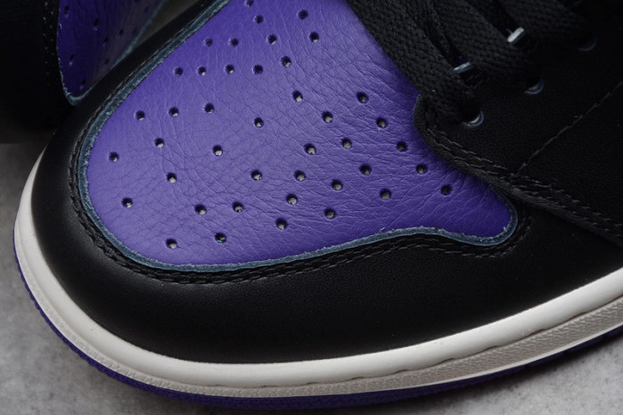 Air Jordan 1 Retro High OG 'Court Purple' 555088-501