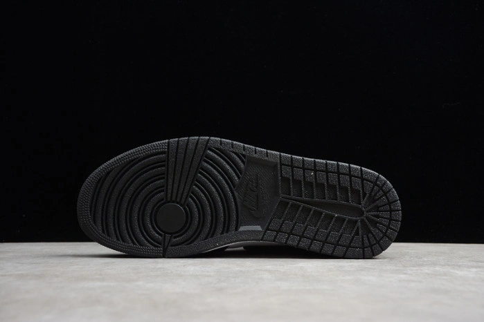 Air Jordan 1 Twist (Panda) CD0461-007