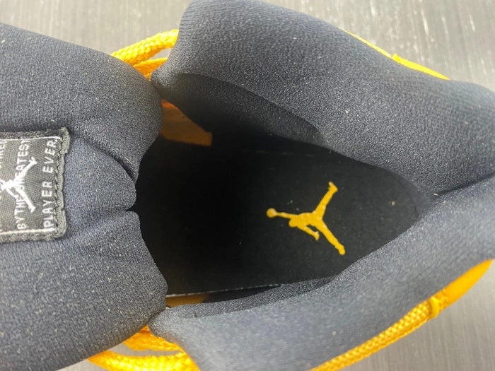 Air Jordan 11 black and yellow