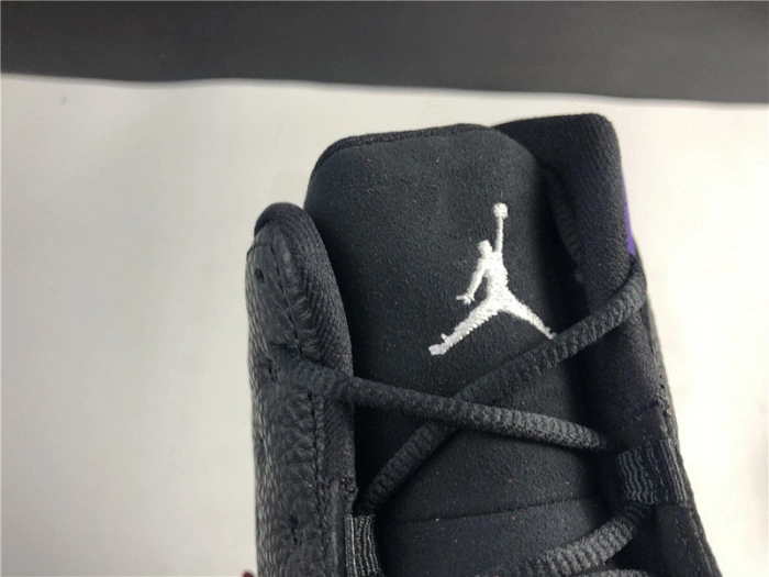 Air Jordan 13 Retro Court Purple  DJ5982-015