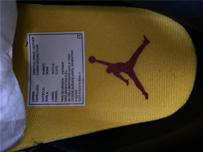 Air Jordan 3 Retro SE Animal Instinct 2.0 CV3583-003